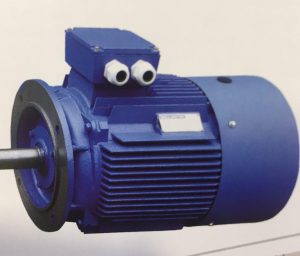 الکتروموتور فلنج دار Flanged electromotor