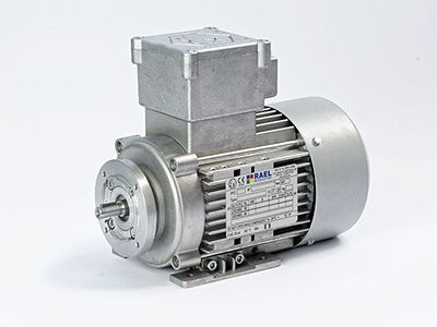 الکتروموتور ضد انفجار رائلEx motor electric rael Motors RL-TUBE